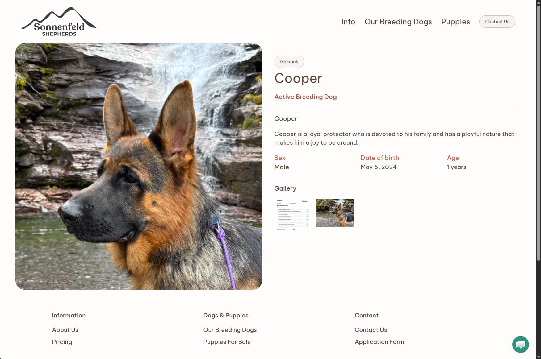 Sonnenfeld Shepherds website, built by Kenny