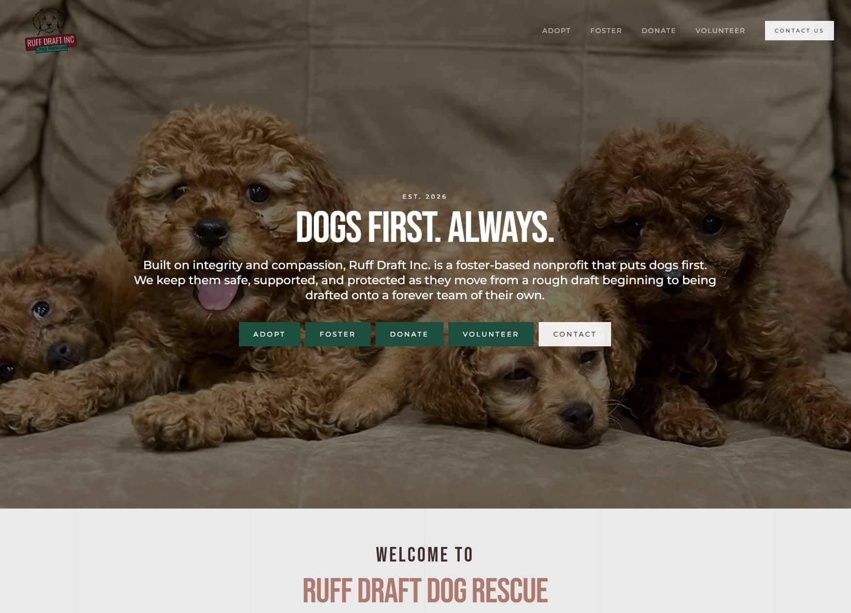 Ruff Draft Dog Rescue website, built by Kenny