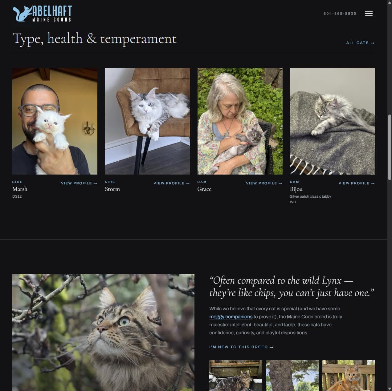 Fabelhaft Maine Coons website, built by Kenny