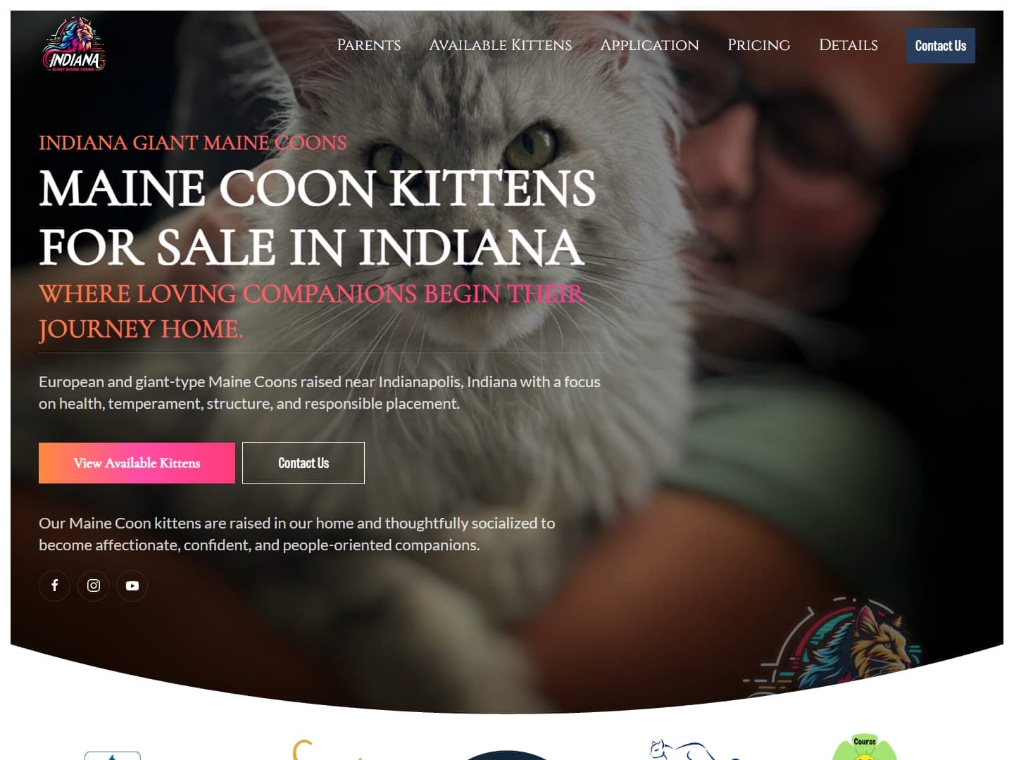 Indiana Giant Maine Coons website, built by Kenny