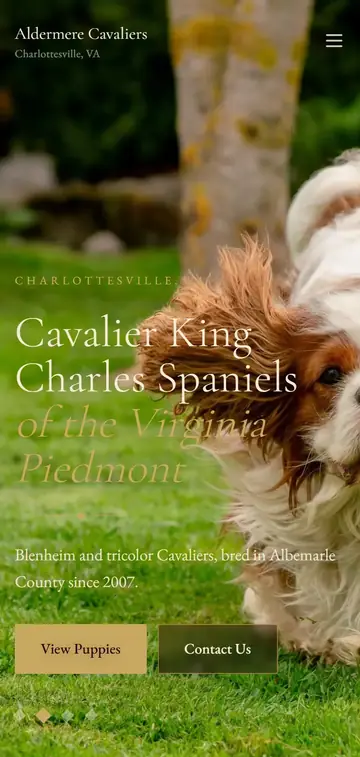 Aldermere Cavaliers demo website on a phone