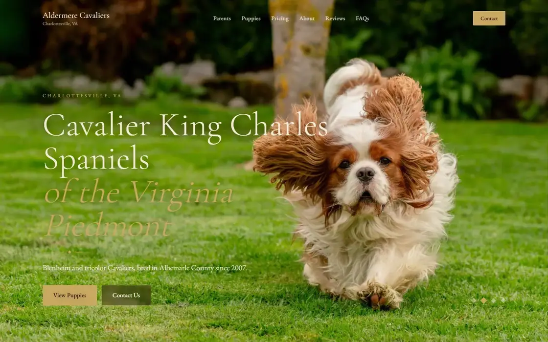Aldermere Cavaliers demo website on the Heritage Regal template