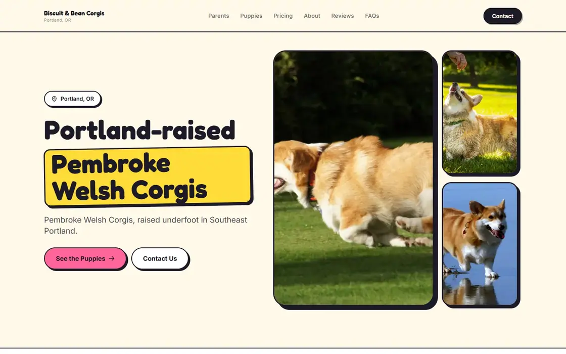 Biscuit & Bean Corgis demo website on the Playful template