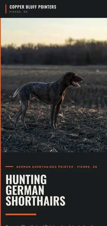 Copper Bluff Pointers demo website on a phone