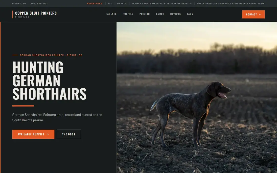Copper Bluff Pointers demo website on the Field & Sport template