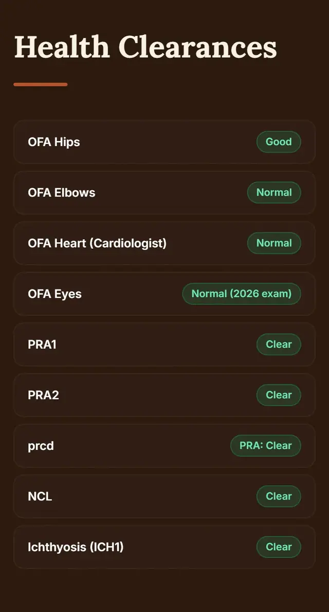 A demo dog profile on a phone listing health clearances and results