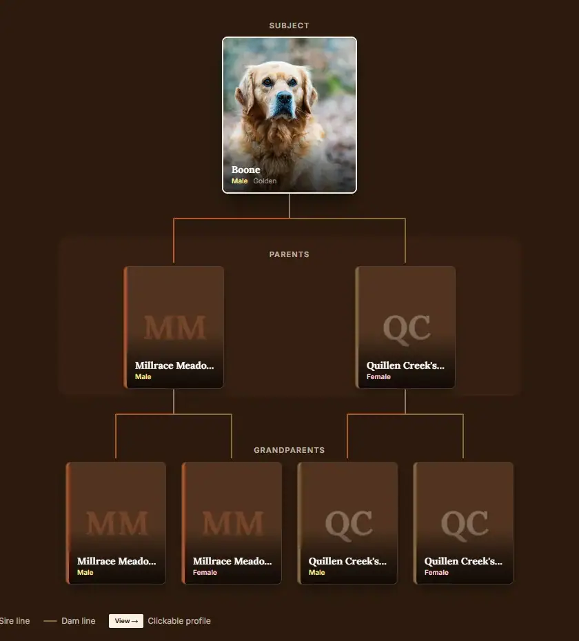 A demo dog profile showing a three generation pedigree