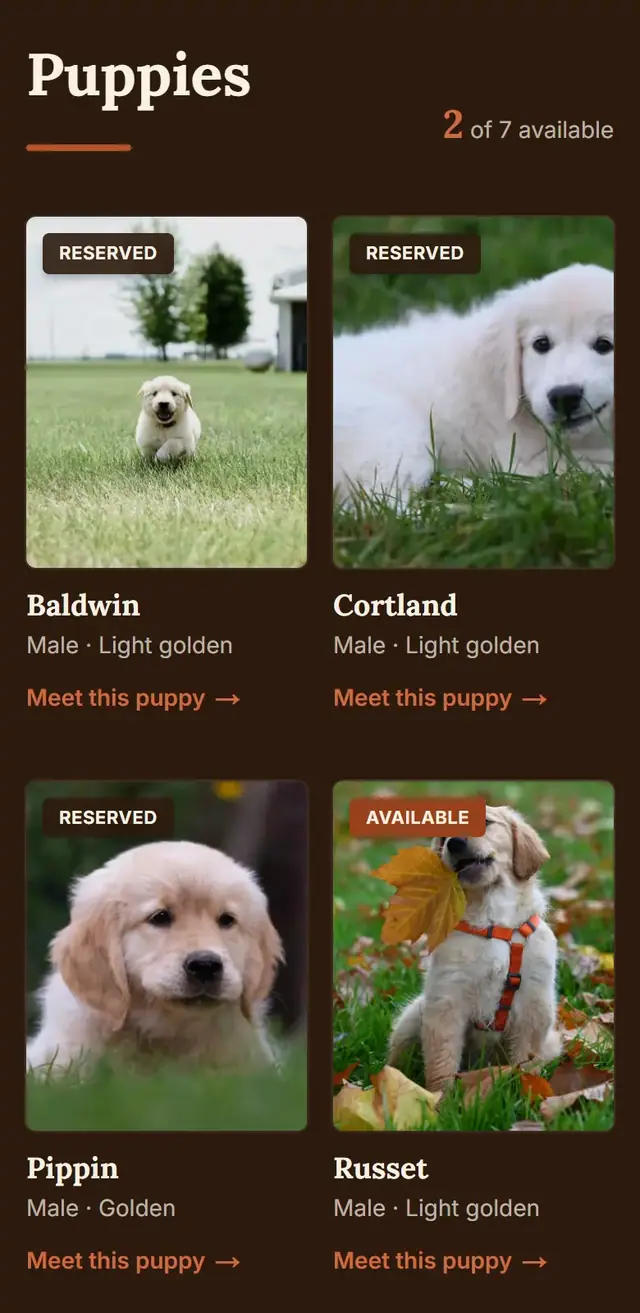 A demo litter page on a phone: 2 of 7 available, with each puppy marked Reserved or Available