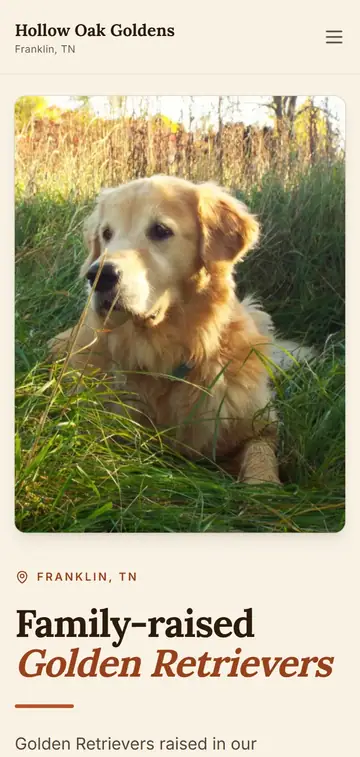 Hollow Oak Goldens demo website on a phone