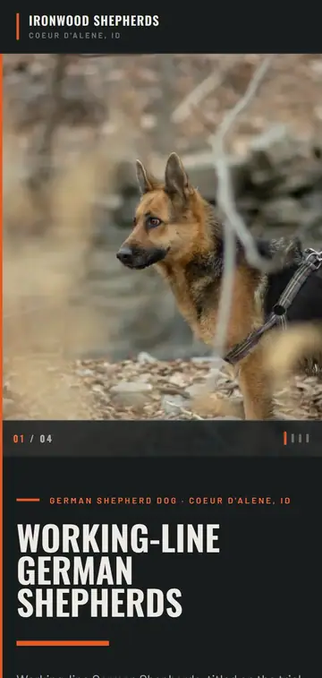 Ironwood Shepherds demo website on a phone