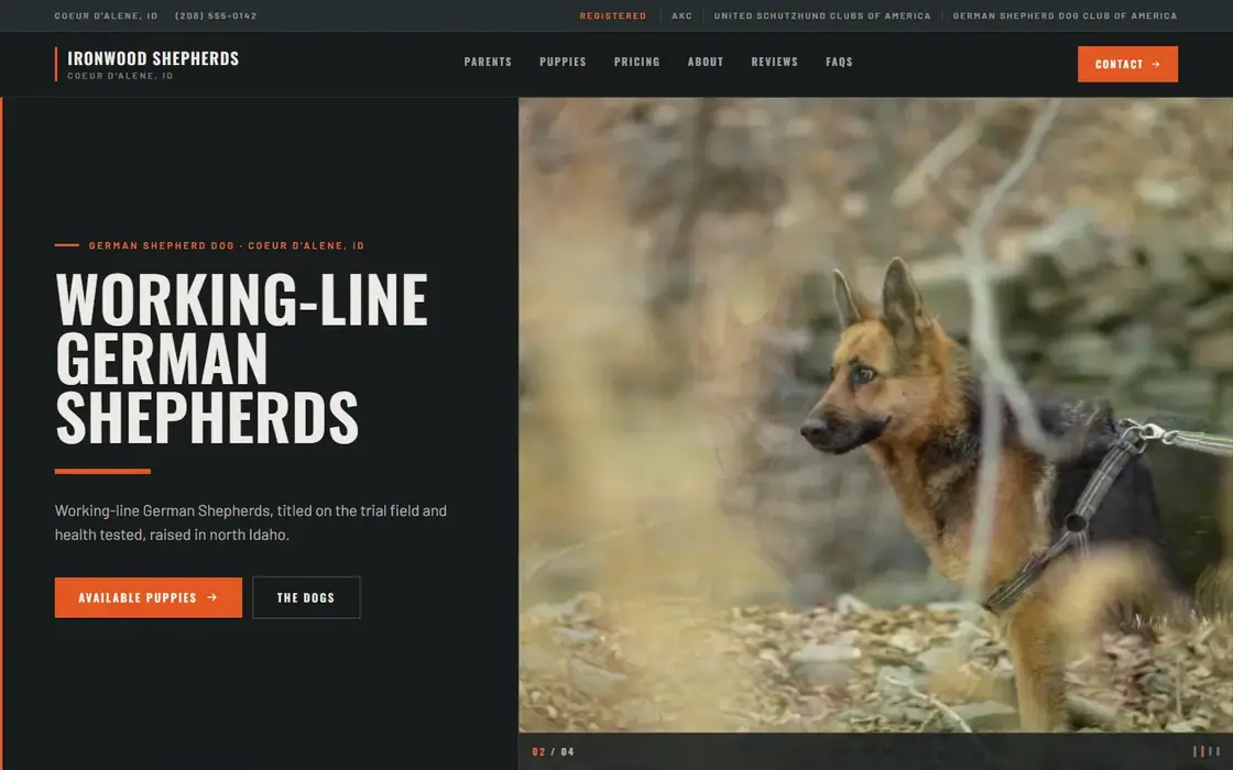 Ironwood Shepherds demo website on the Field & Sport template