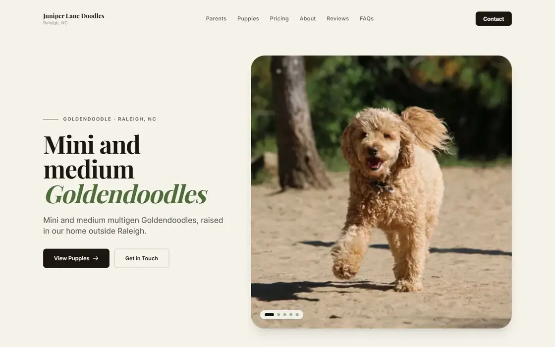 Juniper Lane Doodles demo website on the Clean Light template