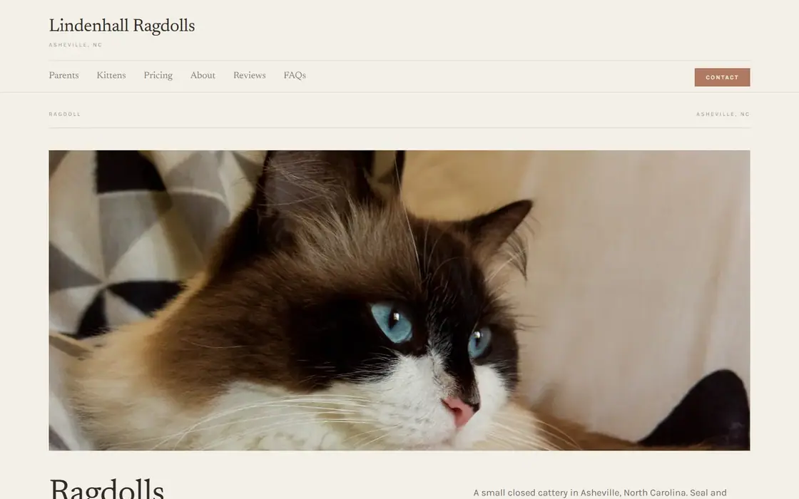 Lindenhall Ragdolls demo website on the Cattery template
