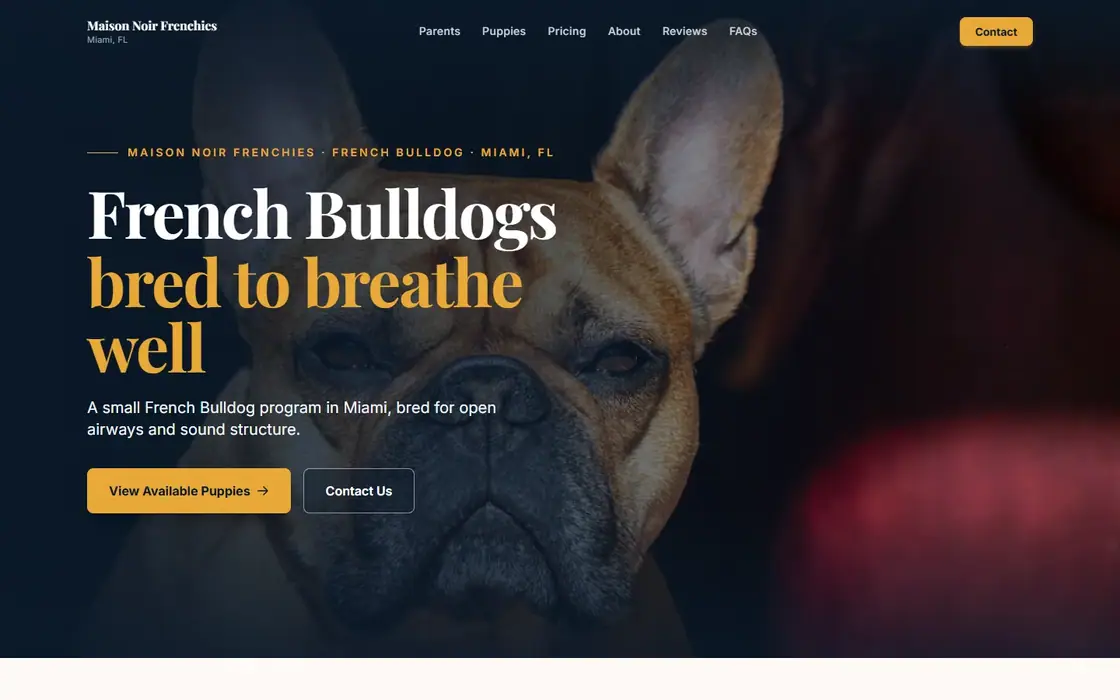 Maison Noir Frenchies demo website on the Dark Luxe template
