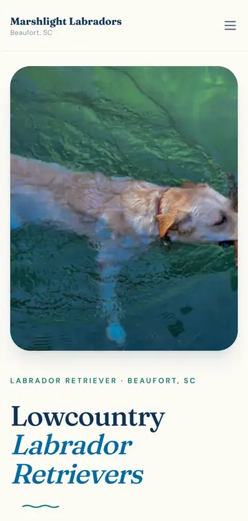 Marshlight Labradors demo website on a phone