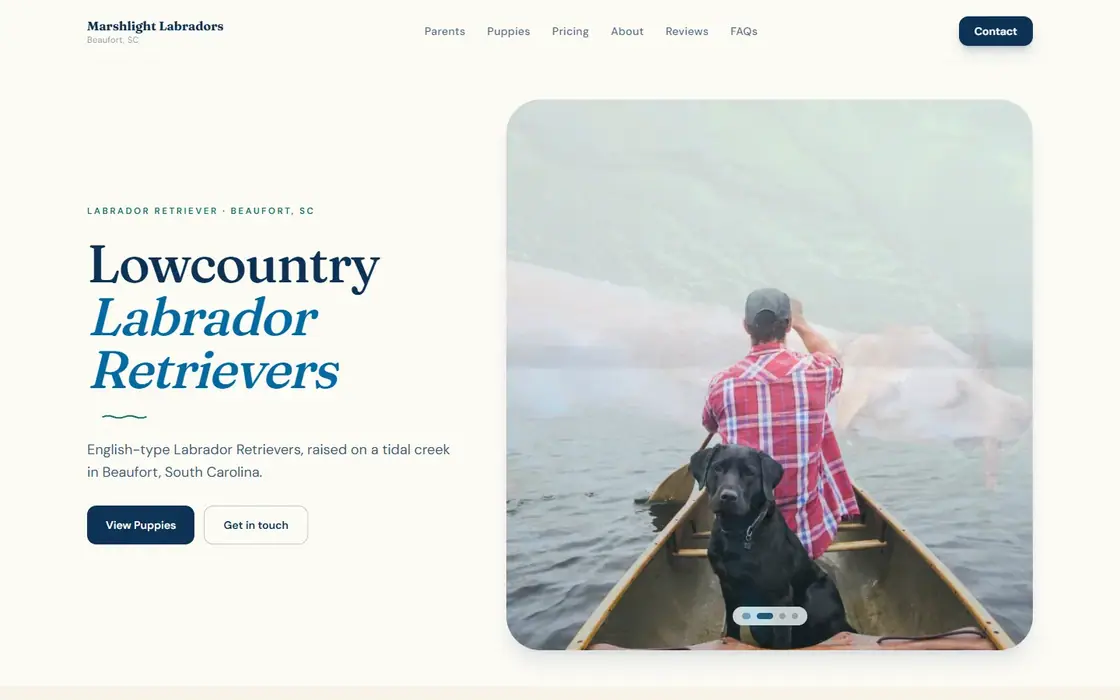 Marshlight Labradors demo website on the Coastal Beach template