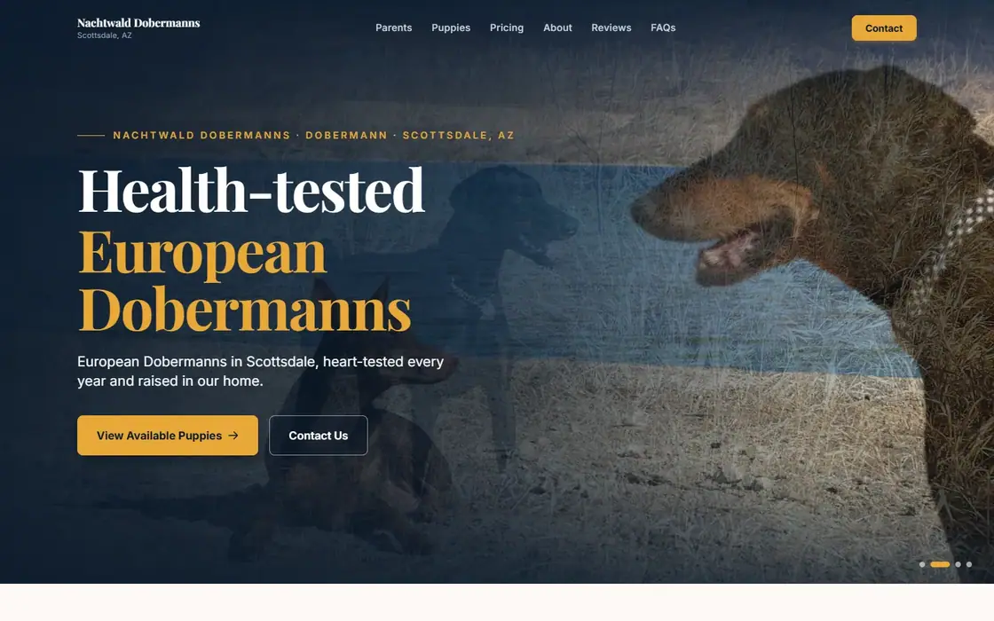 Nachtwald Dobermanns demo website on the Dark Luxe template