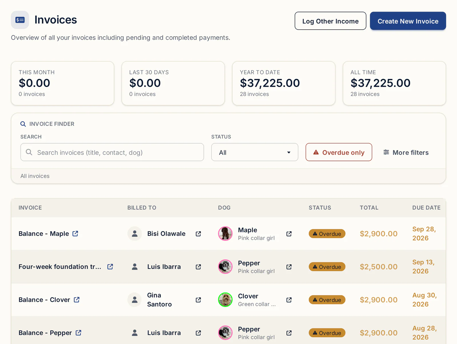 The BreederBuddy Invoices page listing buyers, puppies, status, amounts and due dates with income totals