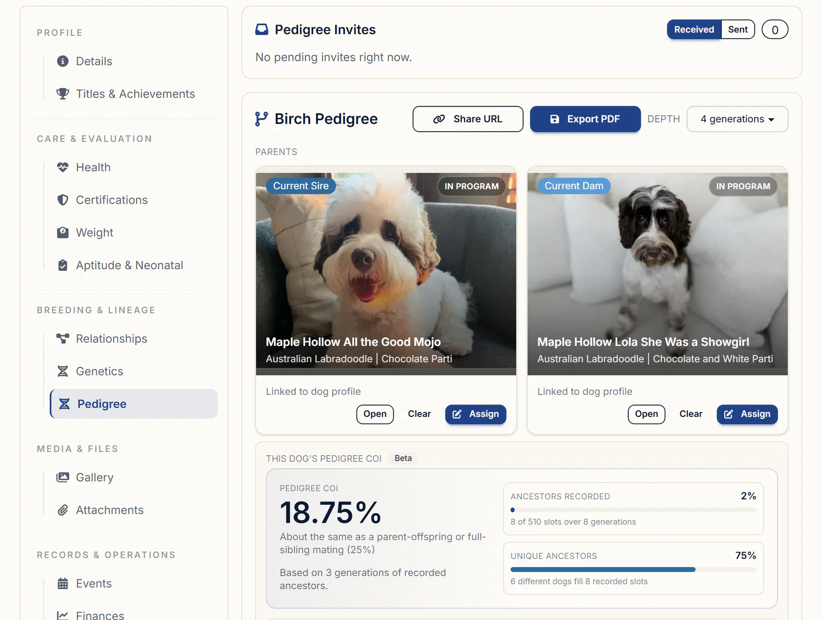 A puppy's Pedigree tab in BreederBuddy with Current Sire and Current Dam cards and an 18.75% pedigree COI card