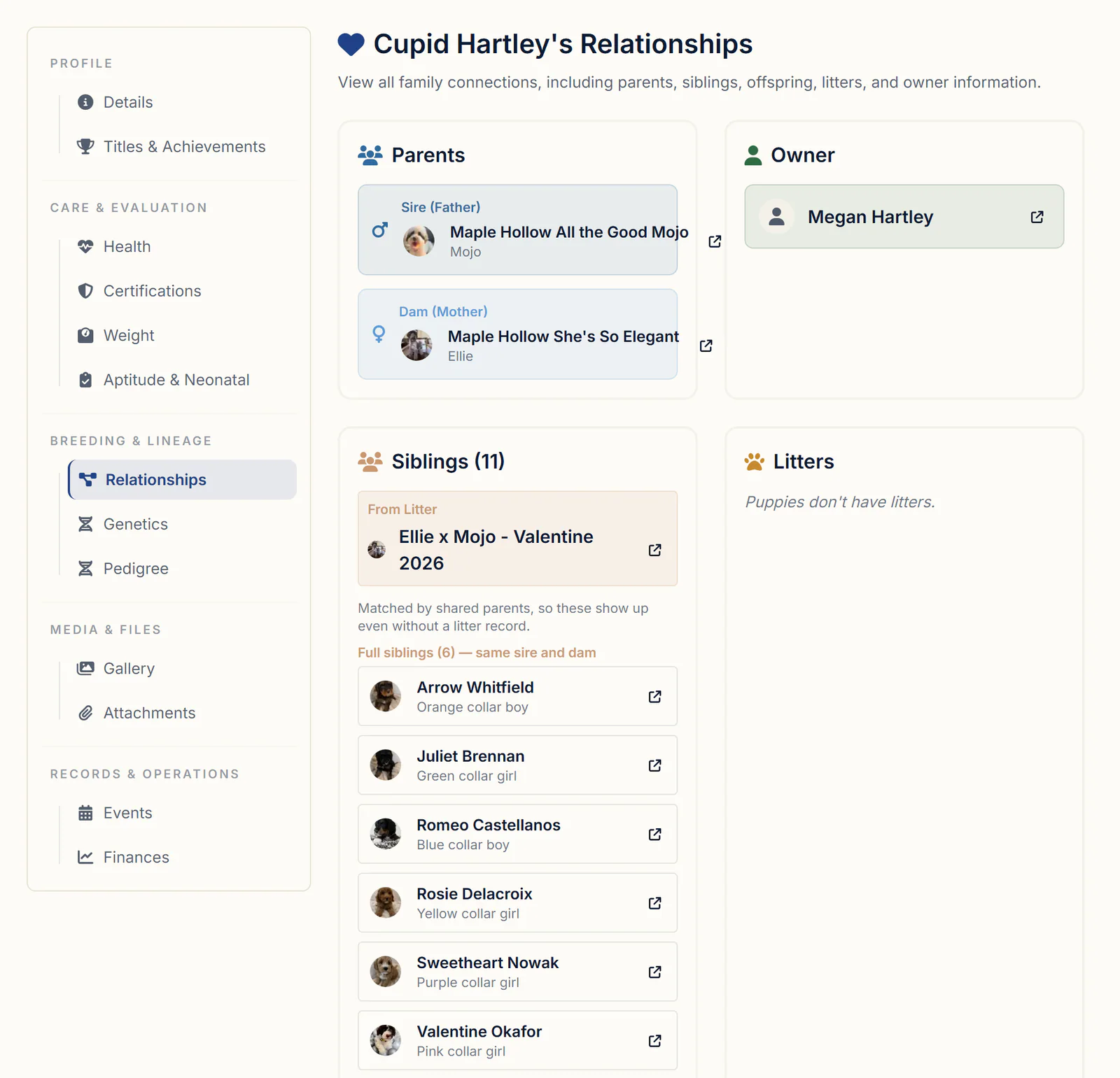 A puppy's Relationships tab in BreederBuddy showing its sire and dam with photos, its owner, litter and full siblings