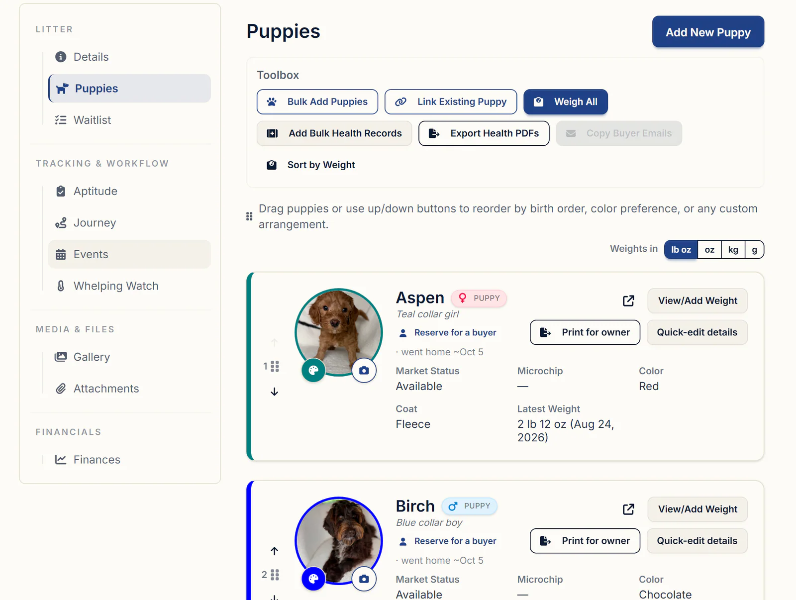 A litter's Puppies tab in BreederBuddy with the Toolbox and numbered puppy cards showing photos and collar colors