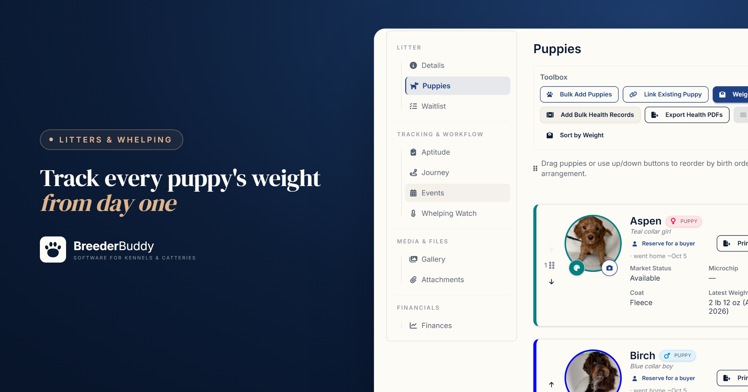 Puppy Weight Tracking: How Often to Weigh Newborns and What to Watch For
