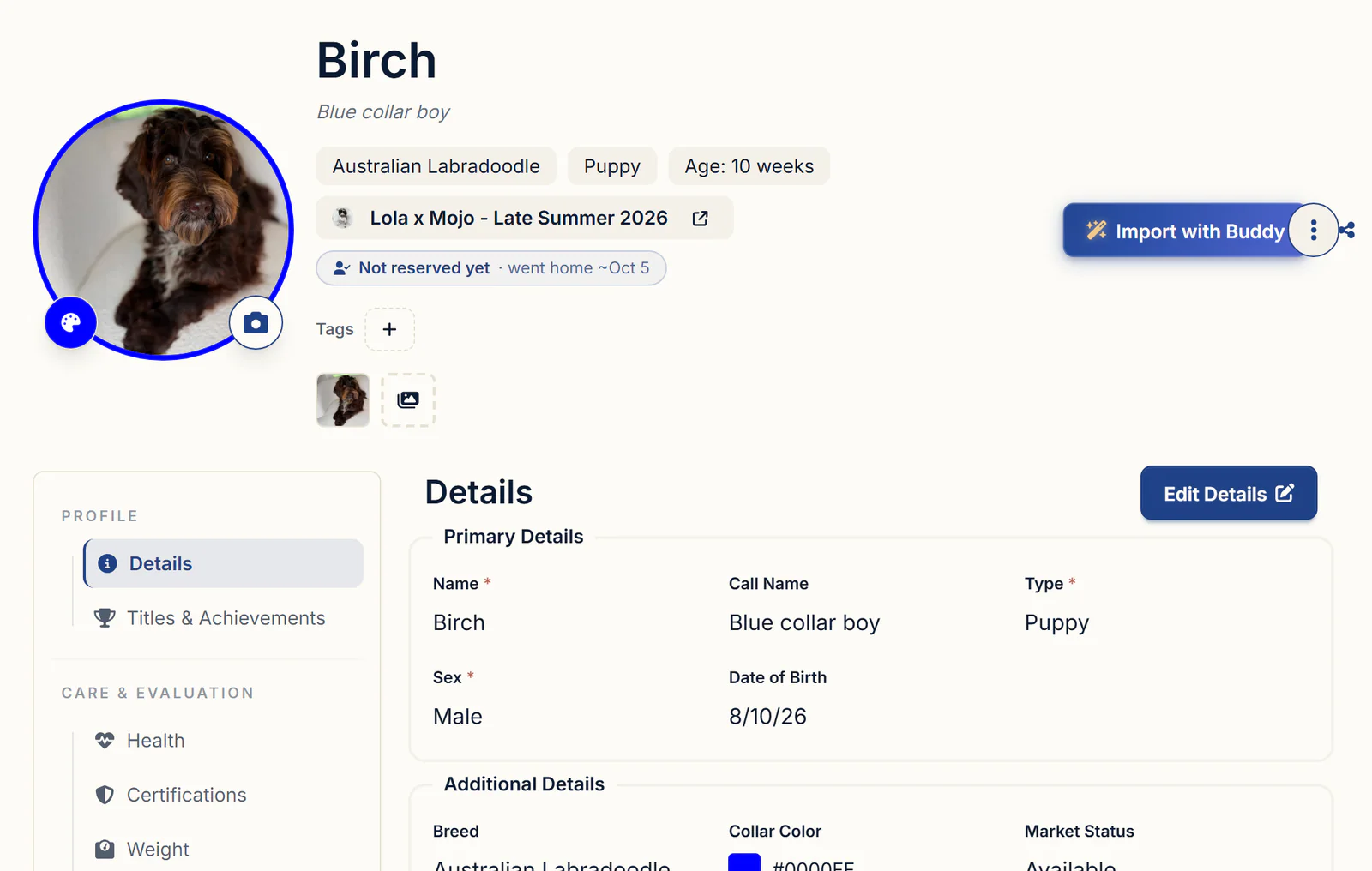 A puppy's profile in BreederBuddy with breed, age, litter, reservation status, sex and date of birth