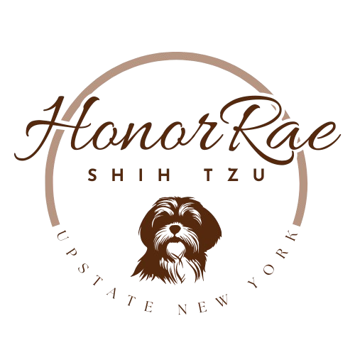 HonorRae Shih Tzu