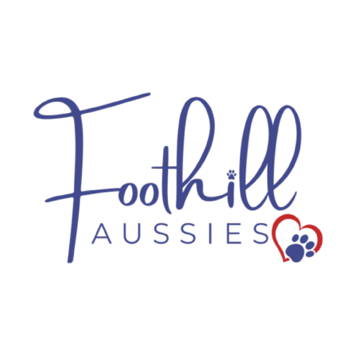 Foothill Aussies