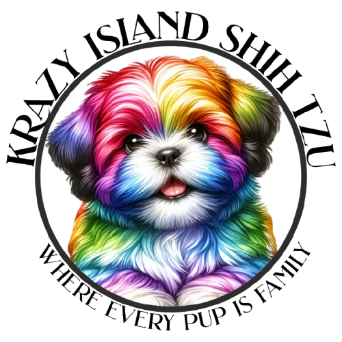 Krazy Island Shih Tzu