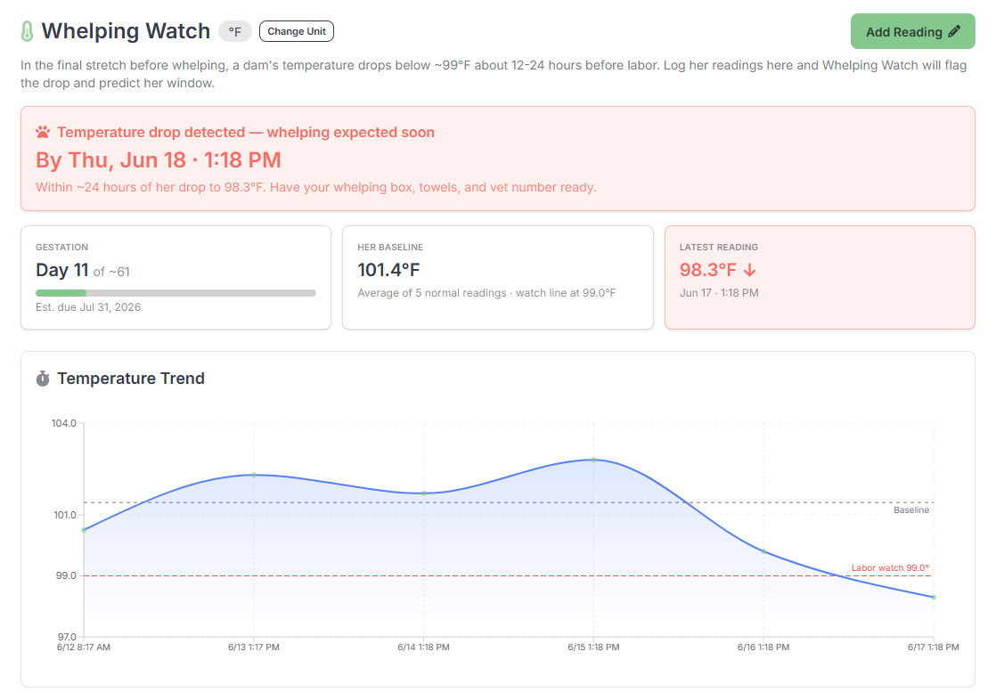 Whelping temperature tracker showing a pre-labor drop in BreederBuddy