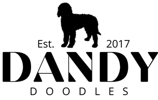 Dandy Doodles