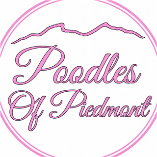Poodles of Piedmont