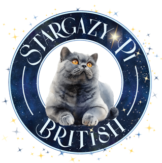 Stargazy Pi British Shorthairs