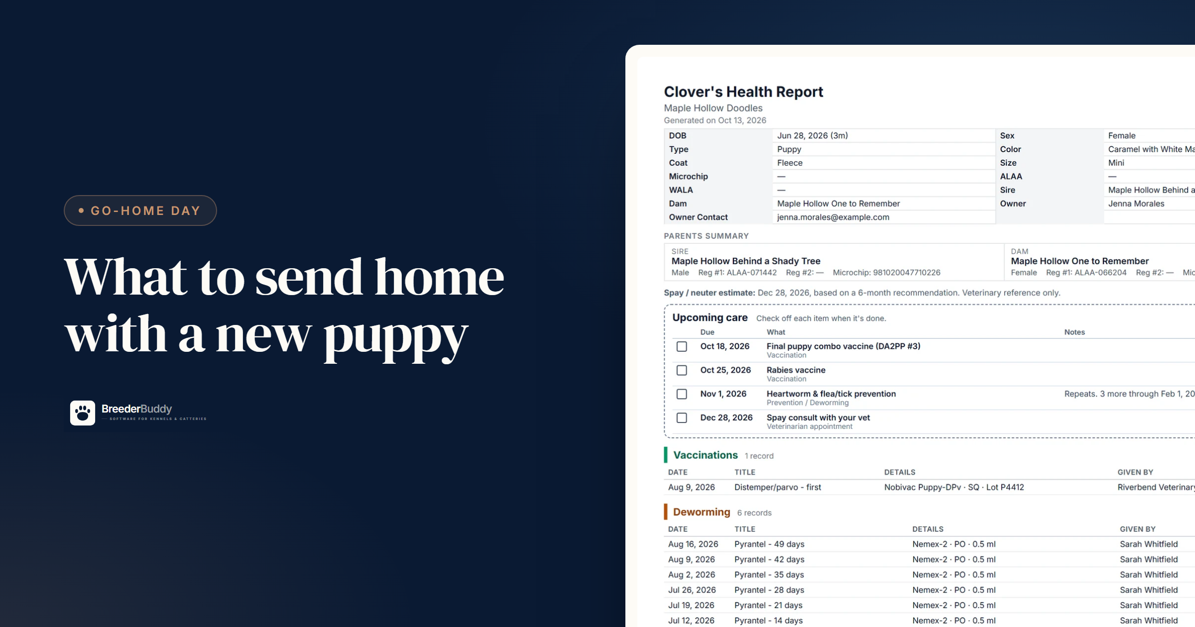 What to Send Home With a New Puppy: The Go-Home Packet Checklist