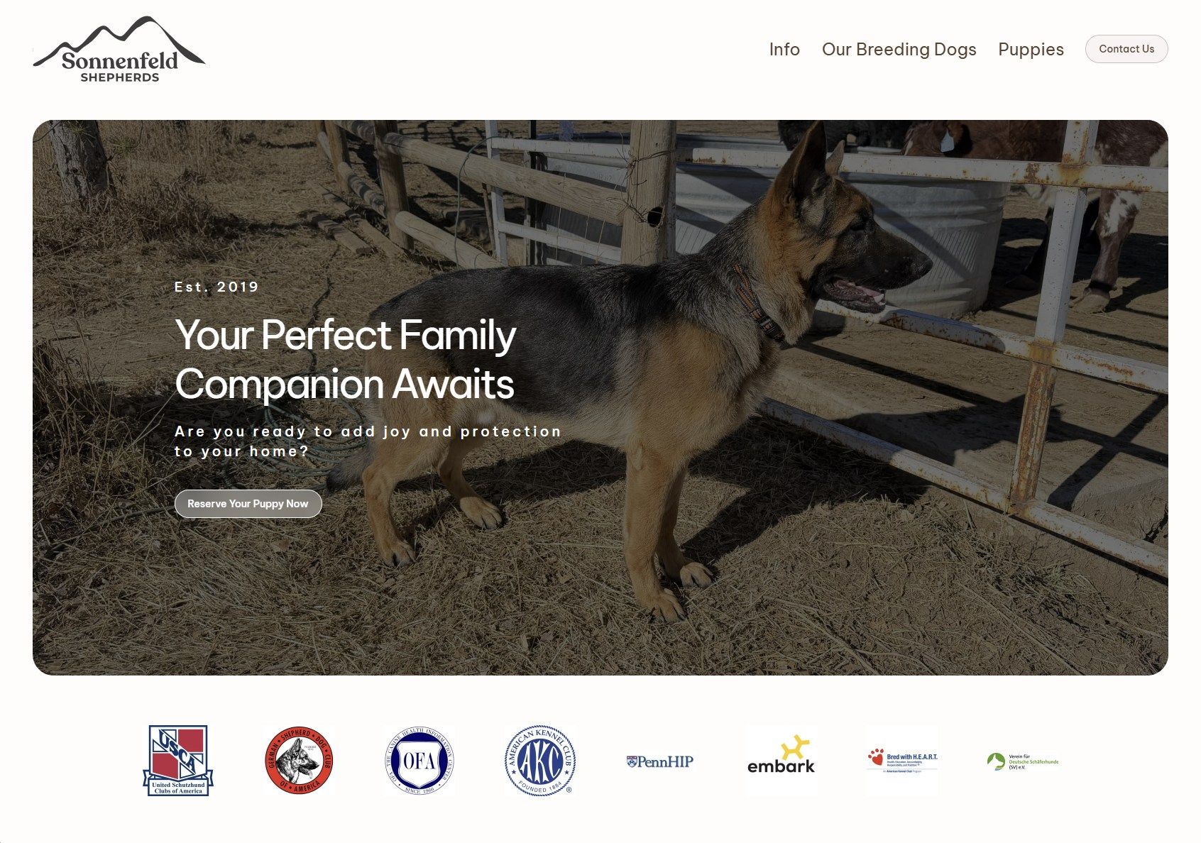 dog breeder websites done for you