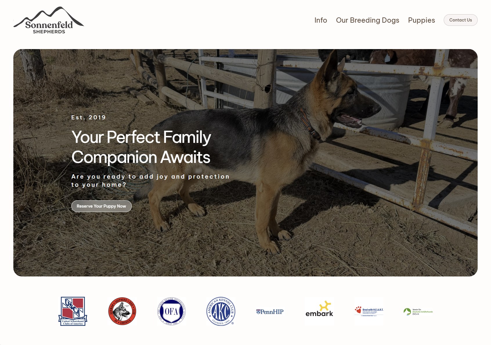 dog breeder websites done for you