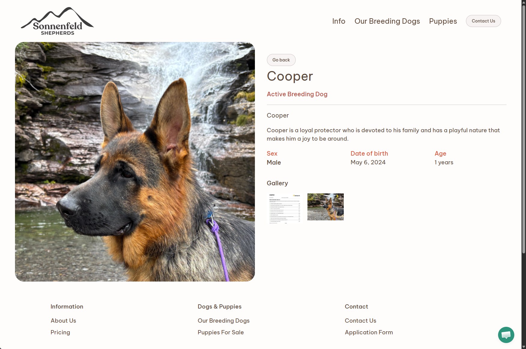 breederbuddy dog breeding app