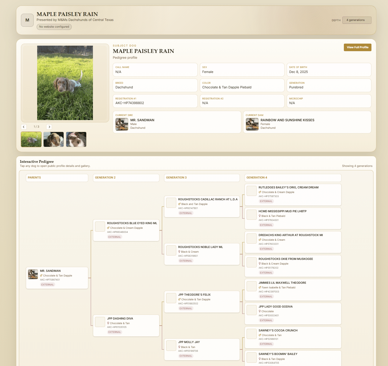 Dog pedigree builder in BreederBuddy