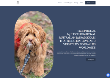 labradoodle breeder website breederbuddy