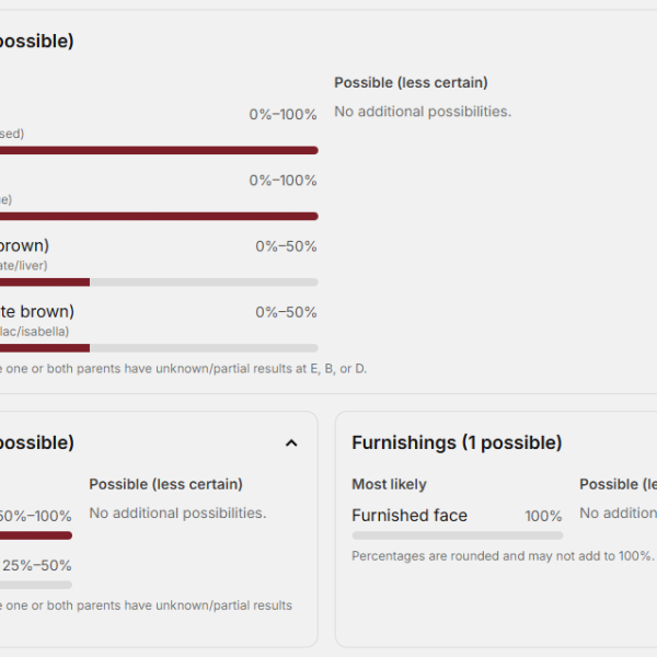 dog-breeding-software-blog-post-header-image